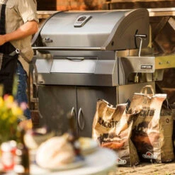 Napoleon Barbecue Charbon Avec Couvercle Napoléon Pro 605 25 Napoleon Barbecue Charbon Avec Couvercle Napoléon Pro 605 -Barbecue Fournitures Magasin barbecue charbon napoleon pro 605 11