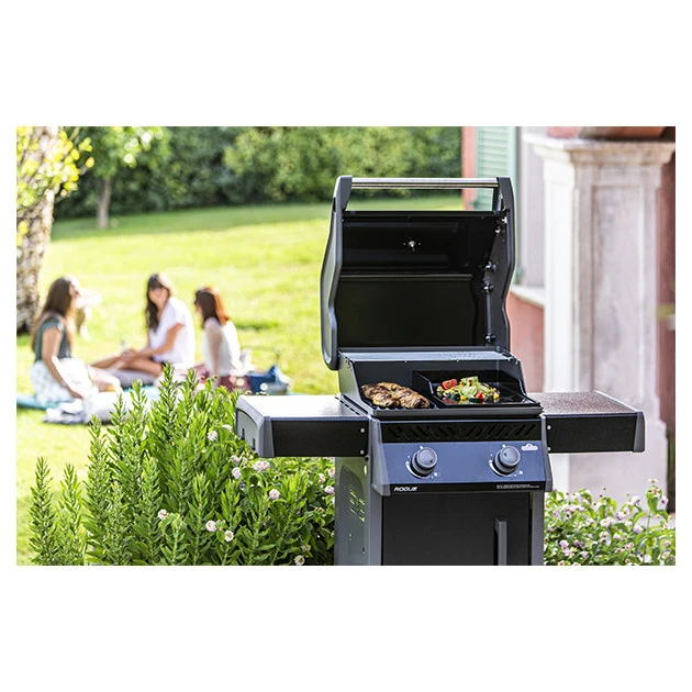 Napoleon Barbecue Gaz Napoléon Rogue 365 PK 2 Brûleurs 15 Napoleon Barbecue Gaz Napoléon Rogue 365 PK 2 Brûleurs – Image 15