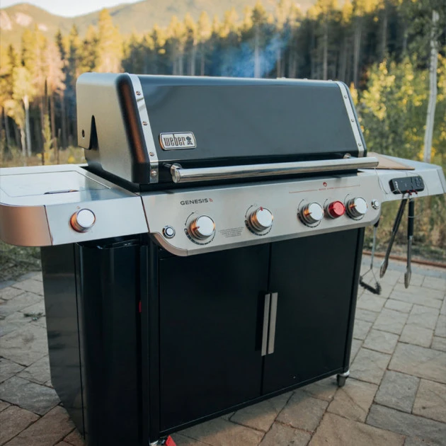 Barbecue Gaz Weber Genesis EX-435 4 Brûleurs 15 Barbecue Gaz Weber Genesis EX-435 4 Brûleurs – Image 15