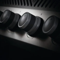 Napoleon Barbecue Gaz Napoléon Rogue XT 625 SIBPSS 5 Brûleurs + 1 Latéral 23 Napoleon Barbecue Gaz Napoléon Rogue XT 625 SIBPSS 5 Brûleurs + 1 Latéral -Barbecue Fournitures Magasin bbq gaz napoleon rogue rxt625 sibpss inox 3