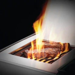 Napoleon Barbecue Gaz Napoléon Rogue XT 625 SIBPSS 5 Brûleurs + 1 Latéral 26 Napoleon Barbecue Gaz Napoléon Rogue XT 625 SIBPSS 5 Brûleurs + 1 Latéral -Barbecue Fournitures Magasin bbq gaz napoleon rogue rxt625 sibpss inox 6