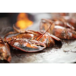 Braséro Plancha OFYR Classic 100 Acier Corten -Barbecue Fournitures Magasin brasero plancha ofyr classic 100 100 8