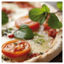 Four à Pizza Portable Mexico Trade Center Venise 52 Cm Marron 9 Four à Pizza Portable Mexico Trade Center Venise 52 Cm Marron -Barbecue Fournitures Magasin four a pizza venise 52cm marron sur base 2