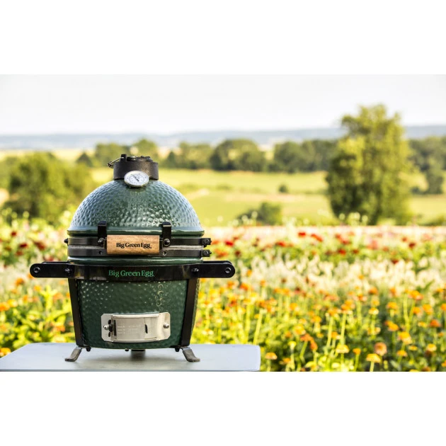 Kamado Big Green Egg Mini Øint 25cm à Poser Ou Encastrer 9 Kamado Big Green Egg Mini Øint 25cm à Poser Ou Encastrer – Image 9
