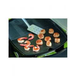 Plancha Barbecue Gaz Weber Q2000 27 X 19.5 Cm Fonte -Barbecue Fournitures Magasin plancha fonte pour barbecue weber q2000 27 x 195 cm 3